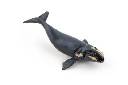 PAPO FIGURINA BALENA, UNIVERSUL ACVATIC