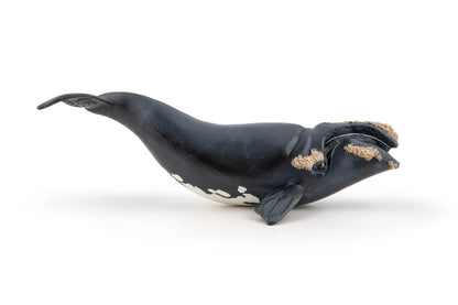 PAPO FIGURINA BALENA, UNIVERSUL ACVATIC