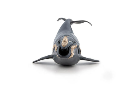 PAPO FIGURINA BALENA, UNIVERSUL ACVATIC