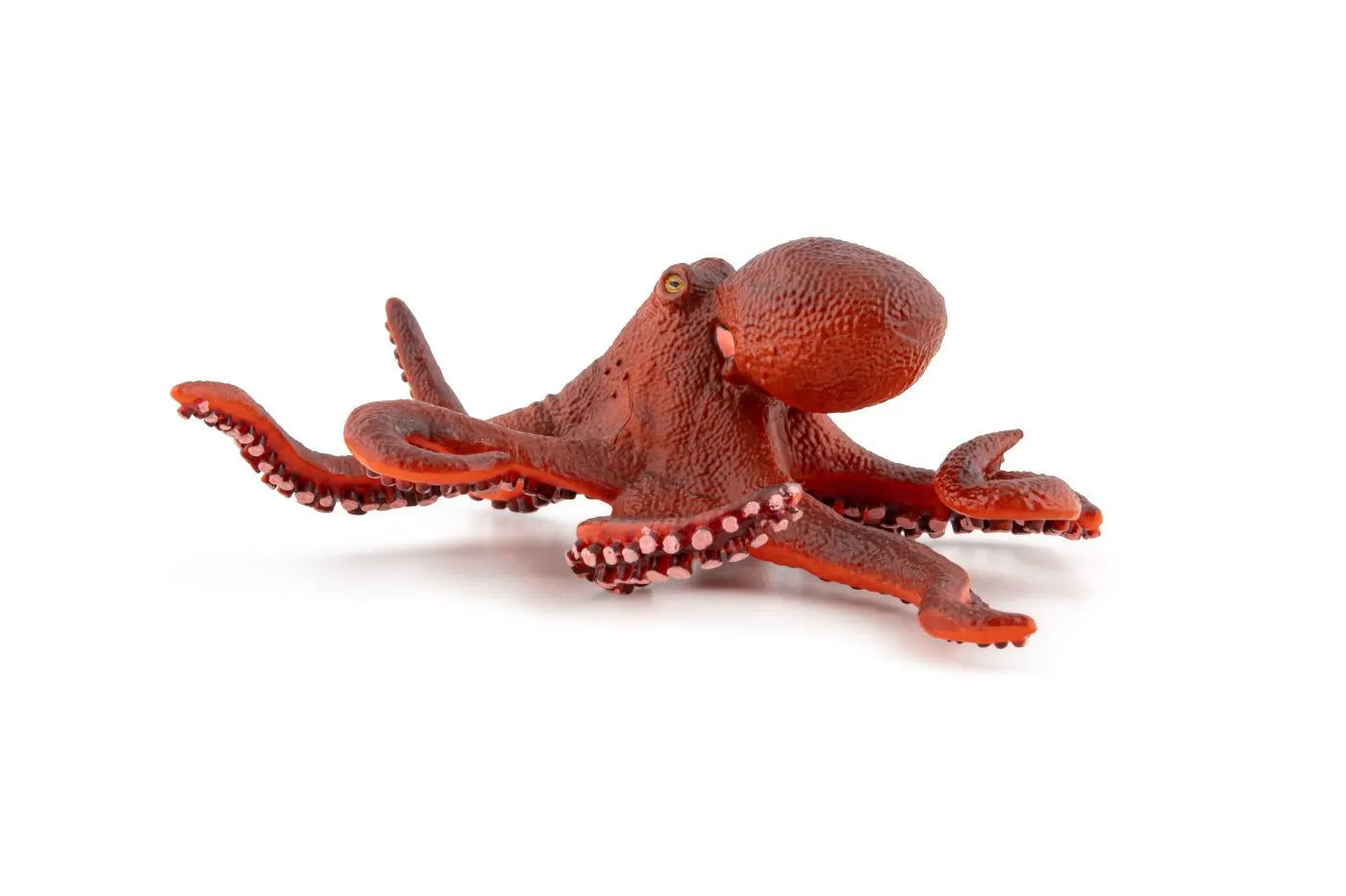 PAPO FIGURINA CARACATITA MICA, UNIVERSUL ACVATIC