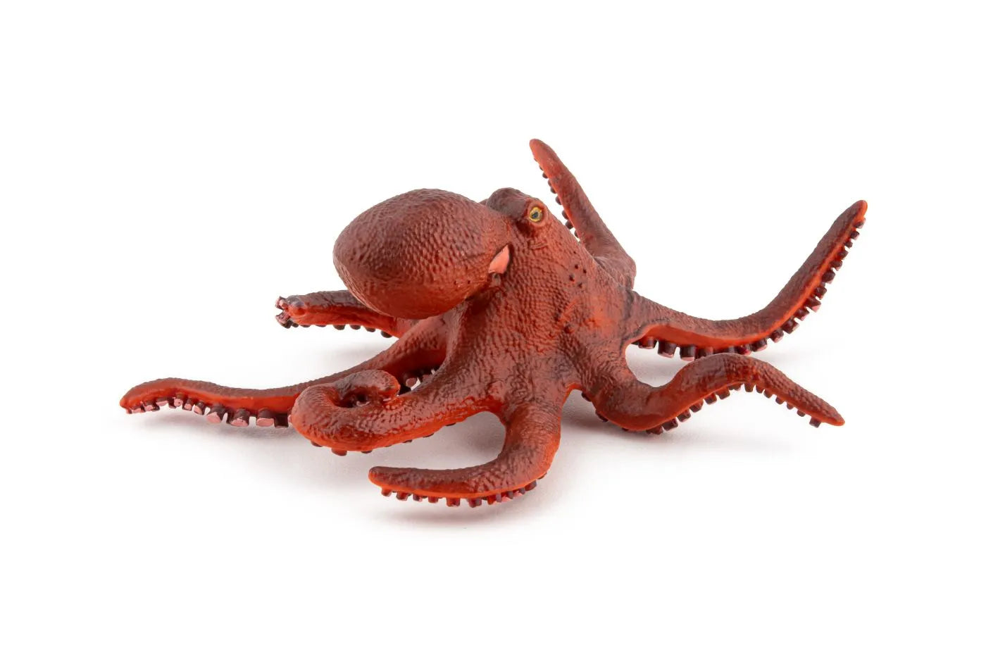 PAPO FIGURINA CARACATITA MICA, UNIVERSUL ACVATIC