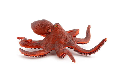 PAPO FIGURINA CARACATITA MICA, UNIVERSUL ACVATIC