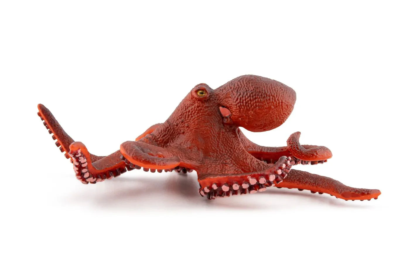 PAPO FIGURINA CARACATITA MICA, UNIVERSUL ACVATIC