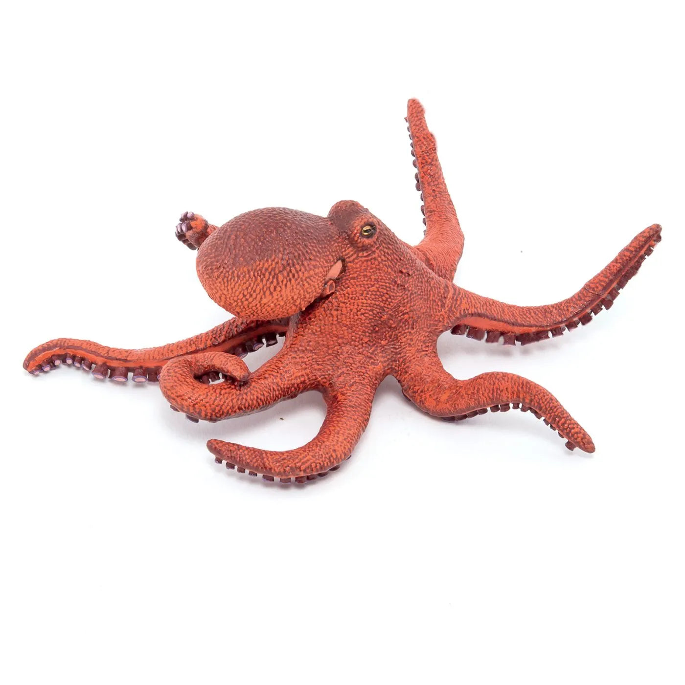 PAPO FIGURINA CARACATITA MICA, UNIVERSUL ACVATIC