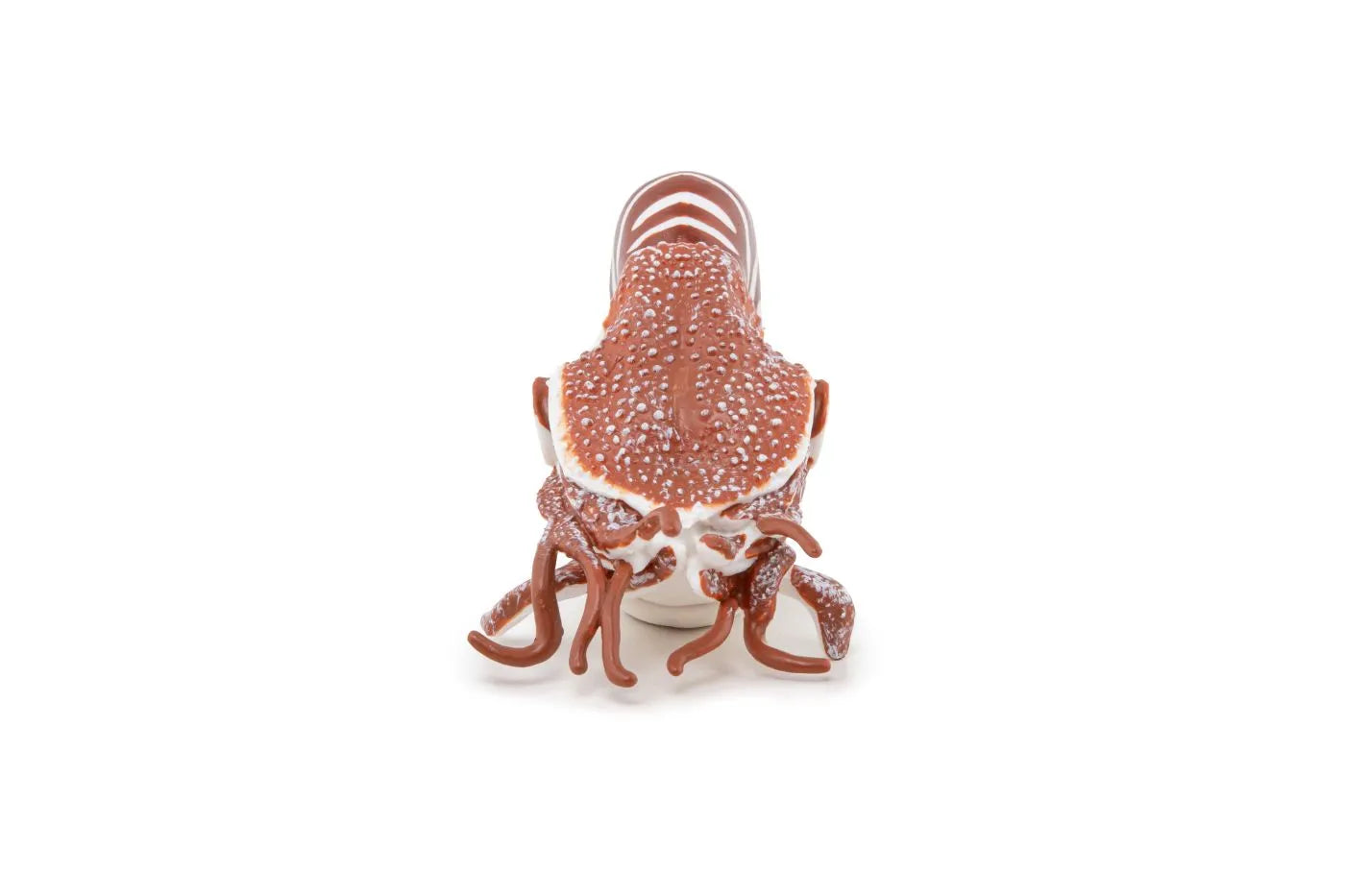 PAPO FIGURINA NAUTILUS, UNIVERSUL ACVATIC