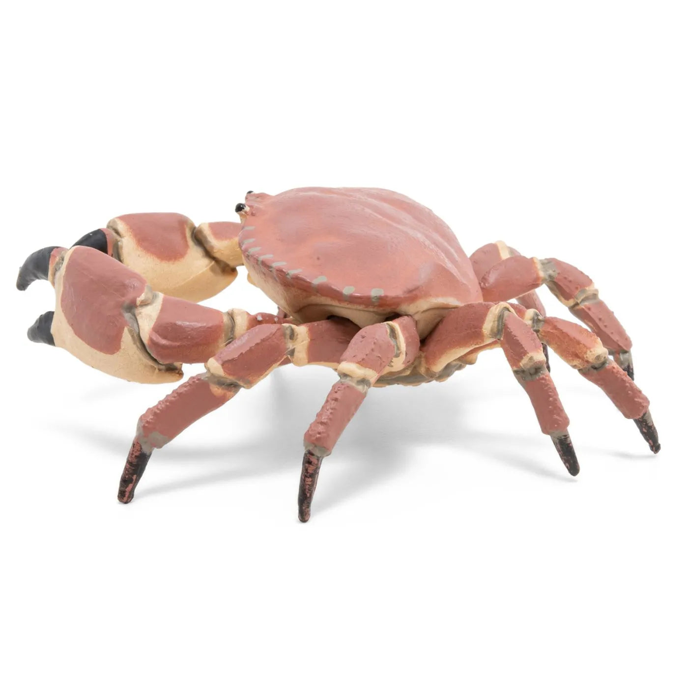 PAPO FIGURINA CRAB, UNIVERSUL ACVATIC
