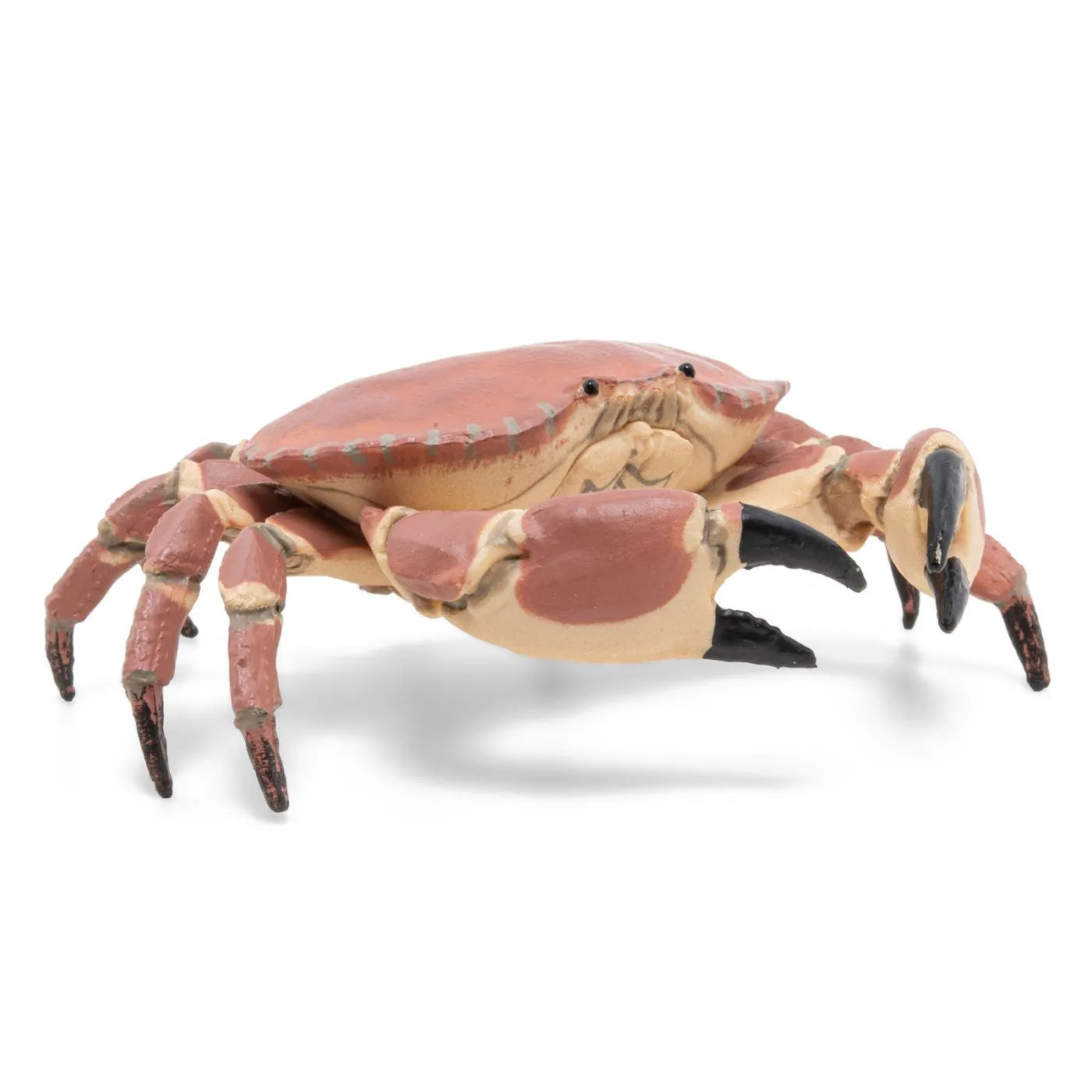 PAPO FIGURINA CRAB, UNIVERSUL ACVATIC