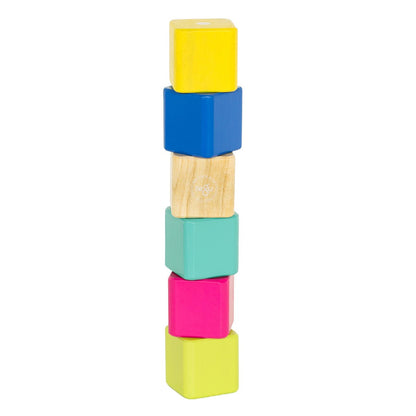 Tegu Baby 6, primele blocuri din lemn magnetic, 6 buc., Tegu