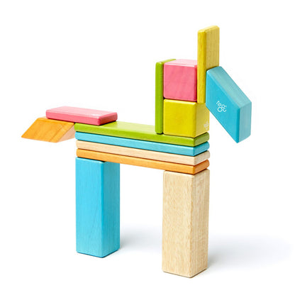 Tegu Tints, set 14 piese din lemn magnetic, Tegu