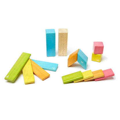 Tegu Tints, set 14 piese din lemn magnetic, Tegu