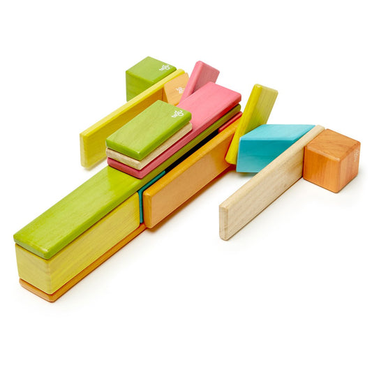 Tegu Tints, set 24 piese din lemn magnetic, Tegu