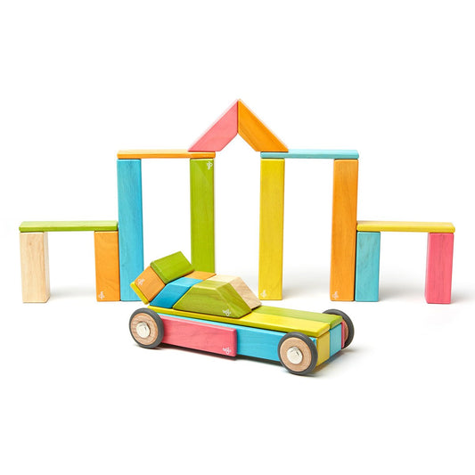 Tegu Tints, set 42 piese din lemn magnetic, Tegu