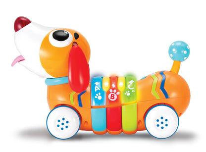 WINFUN CATELUS CU TELECOMANDA, WINFUN