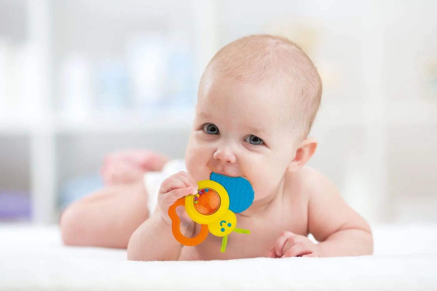 WINFUN SET 4 ZORNAITORI, WINFUN