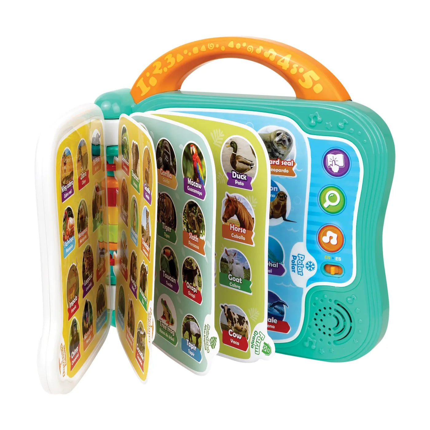WINFUN CARTICICA BILINGVA PENTRU INVATAREA ANIMALELOR, WINFUN