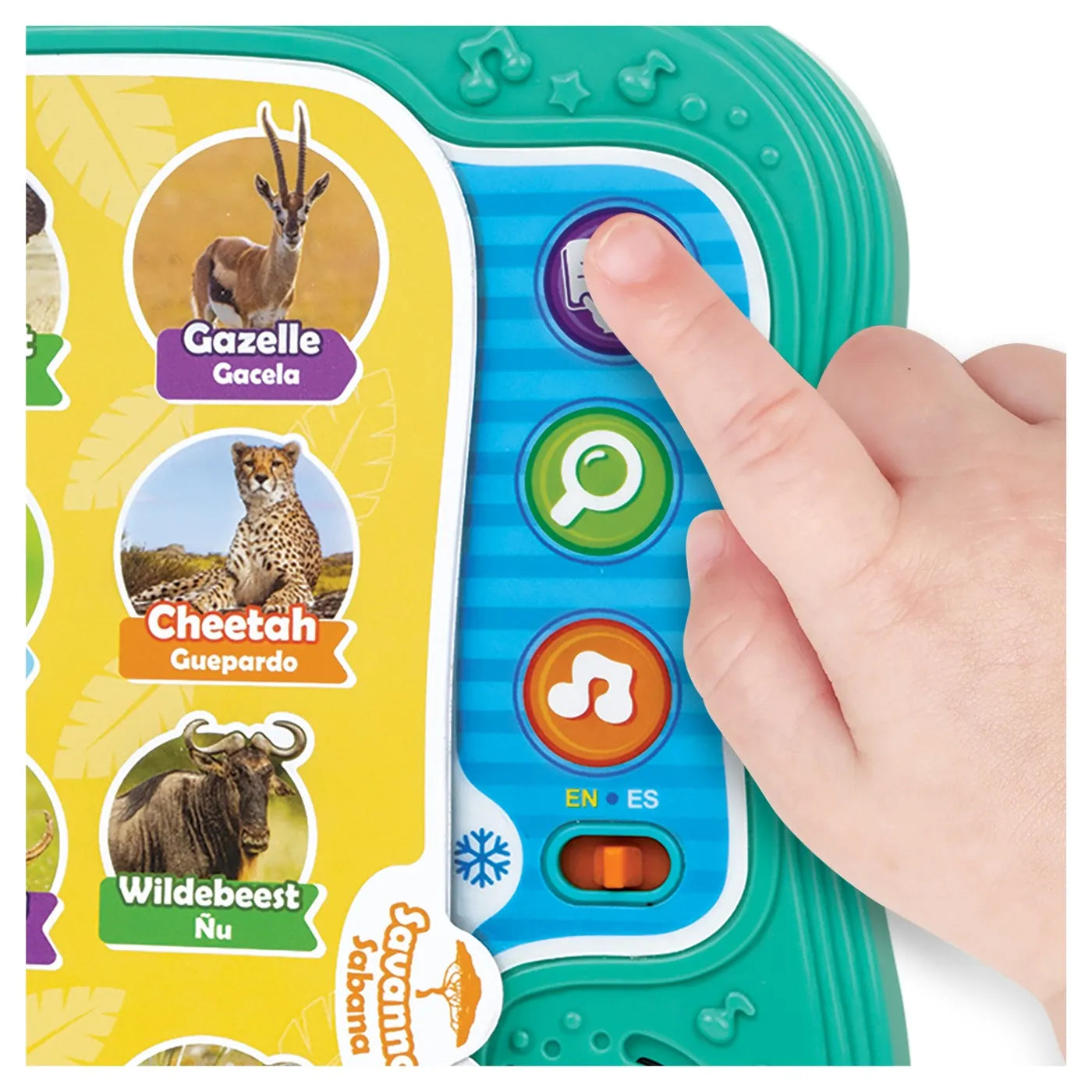 WINFUN CARTICICA BILINGVA PENTRU INVATAREA ANIMALELOR, WINFUN